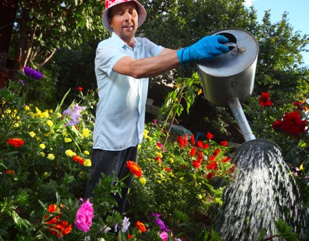 Professional tree surgery services under UK legal terms