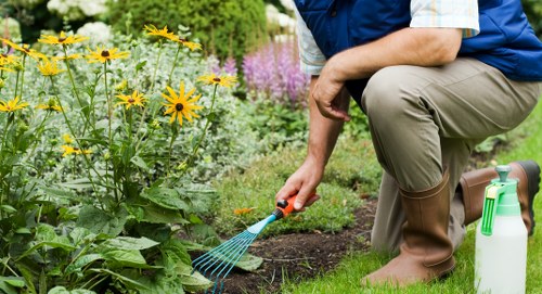Safe and reliable payment options for tree surgery customers in Upminster
