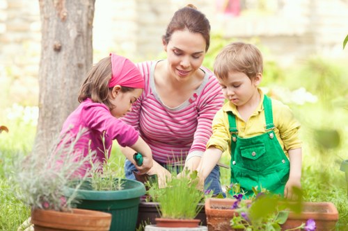 Upminster tree inspection service for homes, gardens, and commercial sites