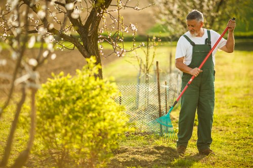 Free quote policy for tree surgeons in Upminster